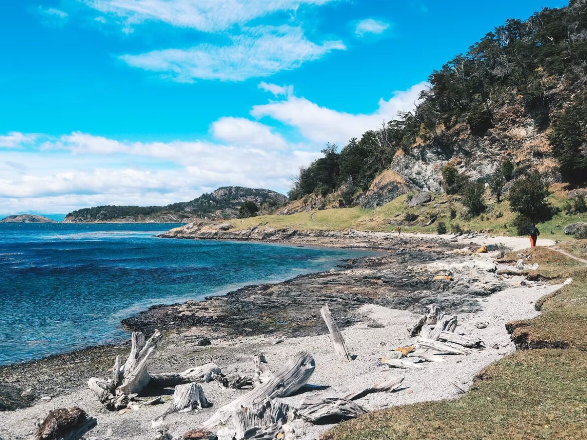 2247D22F 960F 4A0B B1C6 1F5EFE27DB9B