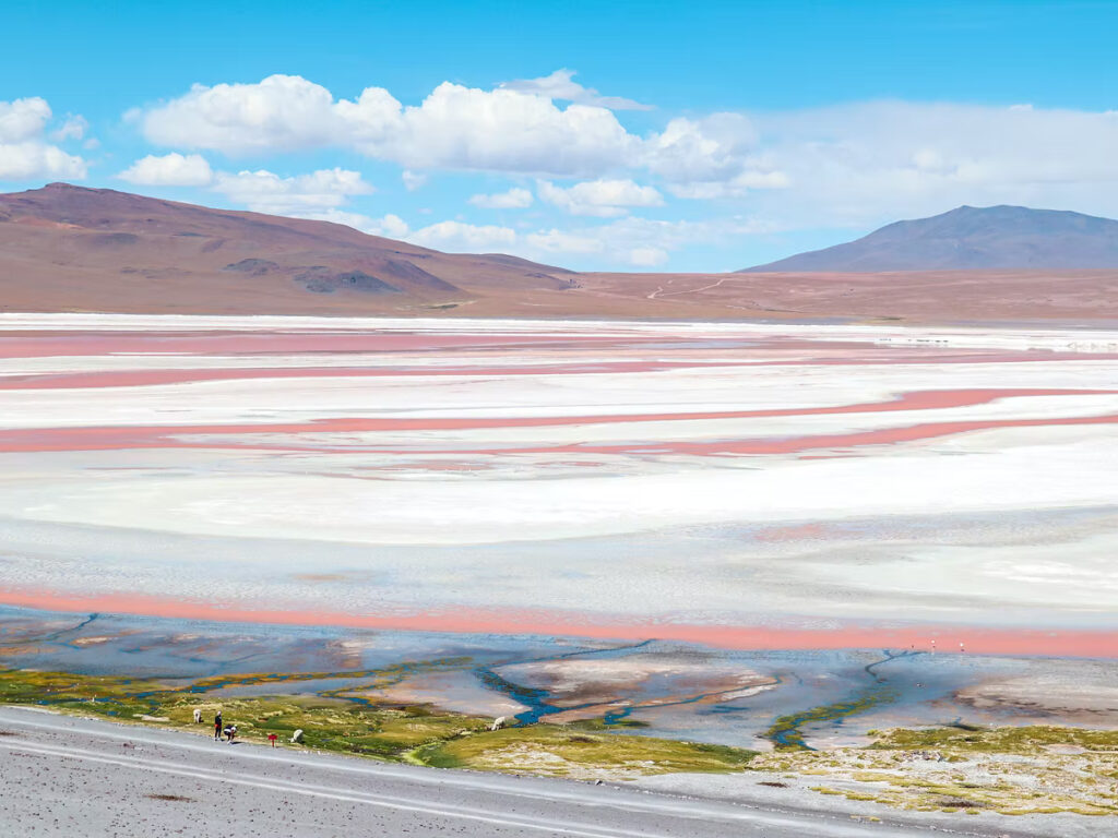 《穿越南美高原》| 智利Atacama - 玻利維亞天空之鏡3日2夜之旅 88 IMG 2346 JPG
