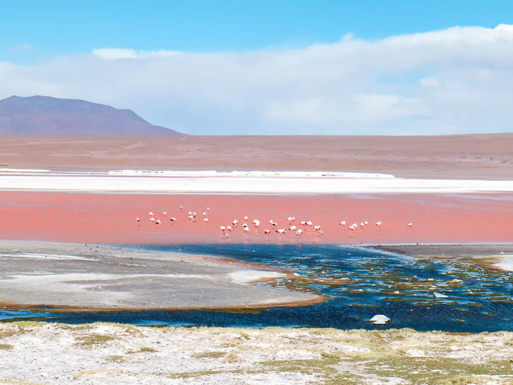 《穿越南美高原》| 智利Atacama - 玻利維亞天空之鏡3日2夜之旅 77 IMG 2444 JPG
