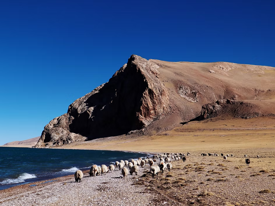 《西藏阿里旅行》| 天上阿里,在星辰大海中讓靈魂去自由流浪 50 f76947 b0cc600f07d94f56800485b679913b84mv2