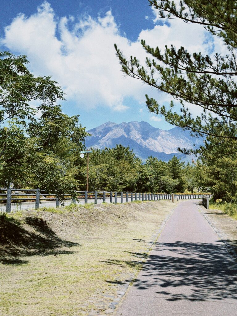 image00001 2