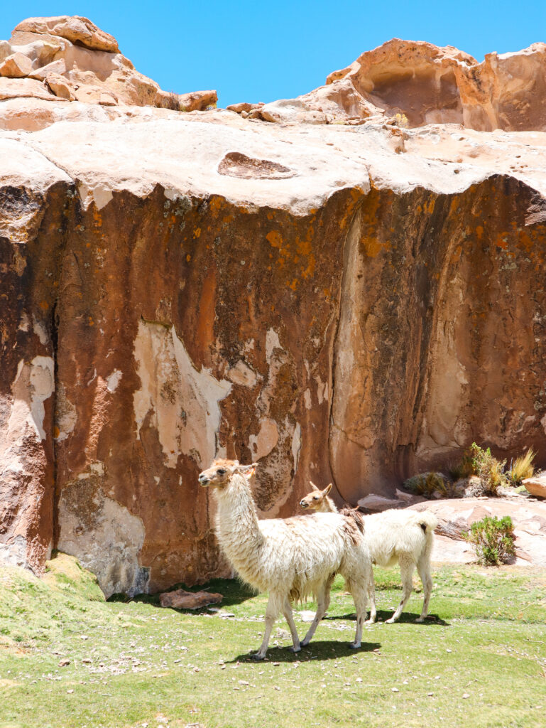 《穿越南美高原》| 智利Atacama - 玻利維亞天空之鏡3日2夜之旅 93 image00003 1