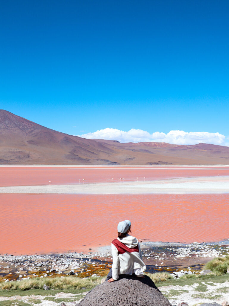 《穿越南美高原》| 智利Atacama - 玻利維亞天空之鏡3日2夜之旅 87 image00004 1