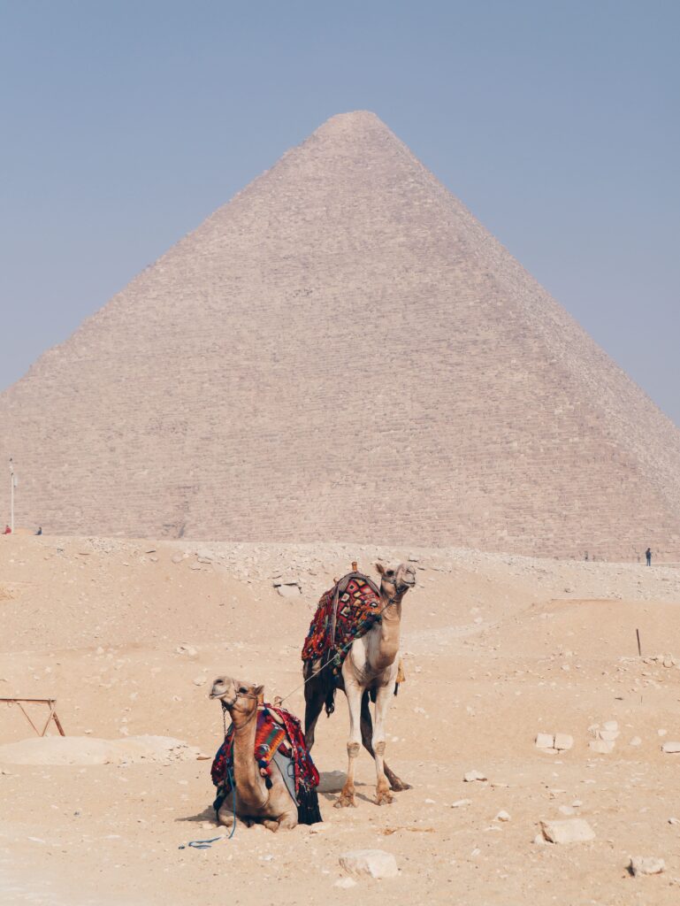 image00006 8