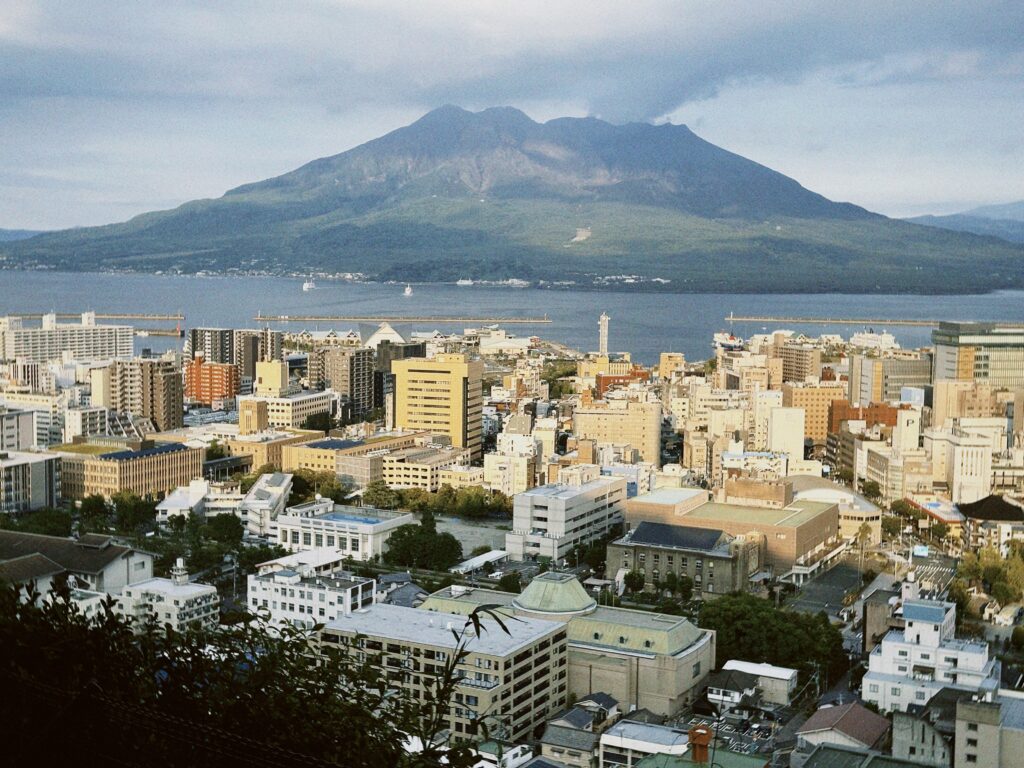 image00007 3