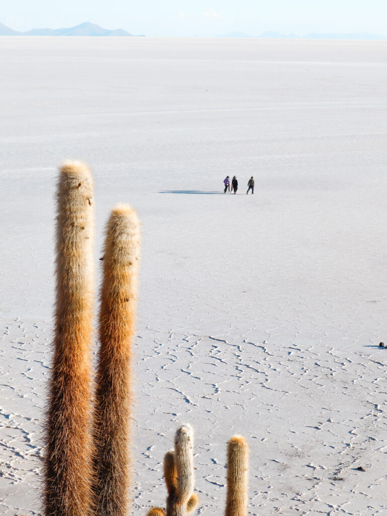 《穿越南美高原》| 智利Atacama - 玻利維亞天空之鏡3日2夜之旅 72 image00008 2