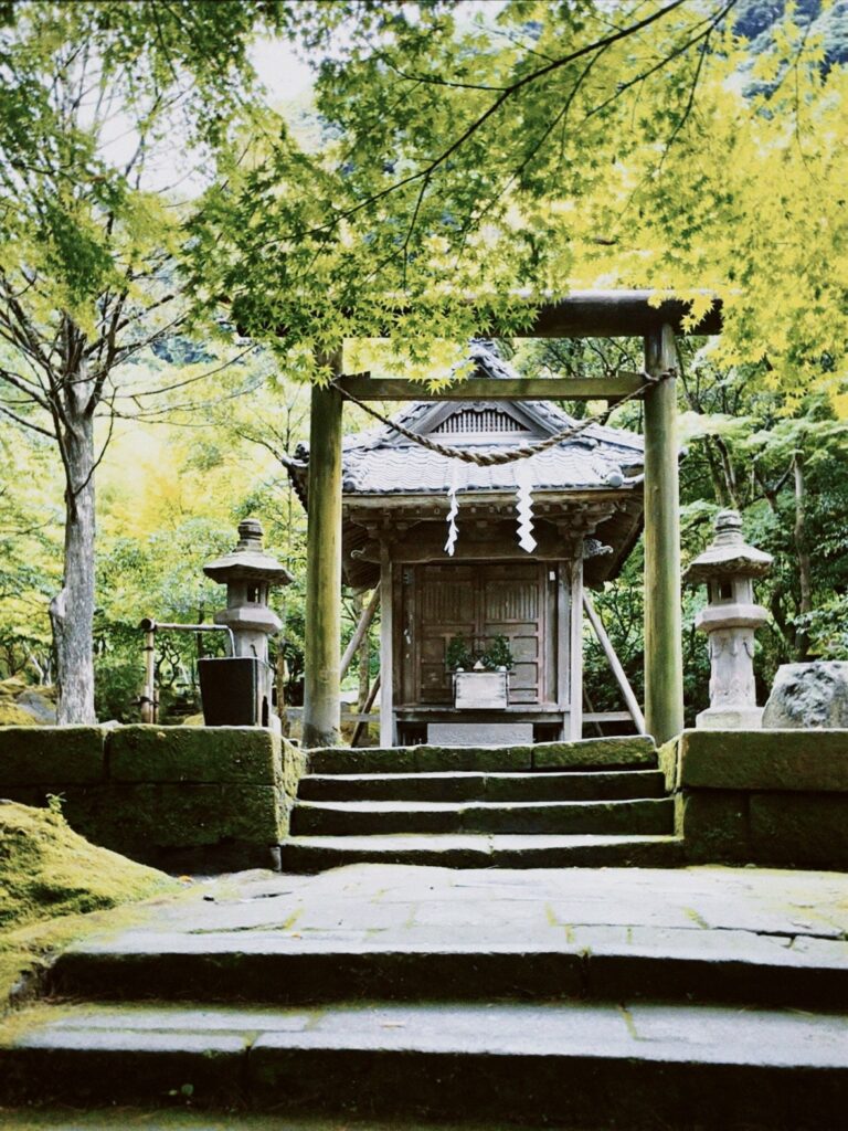 image00010 3