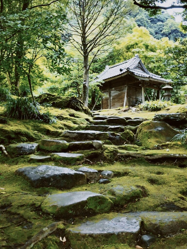 image00011 2