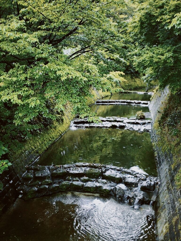 image00012 2