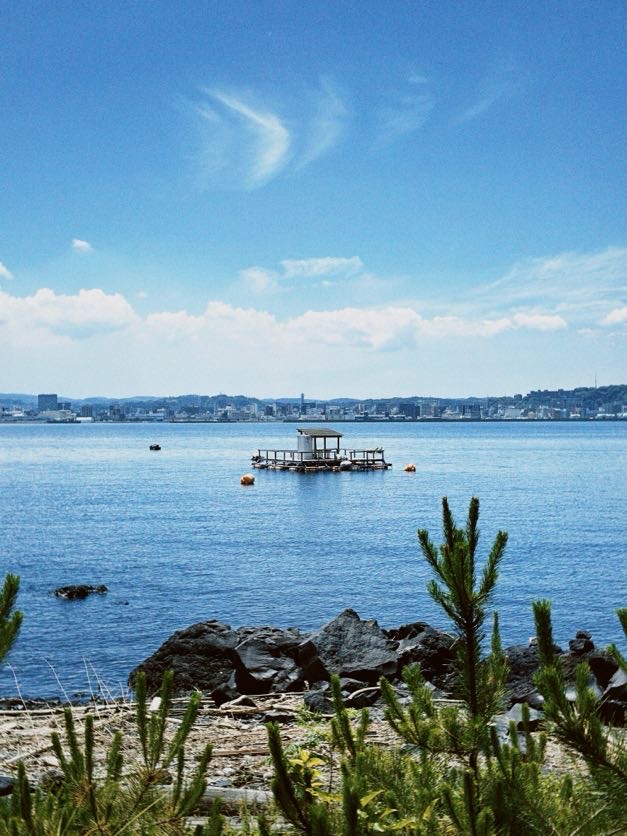 image00019 1