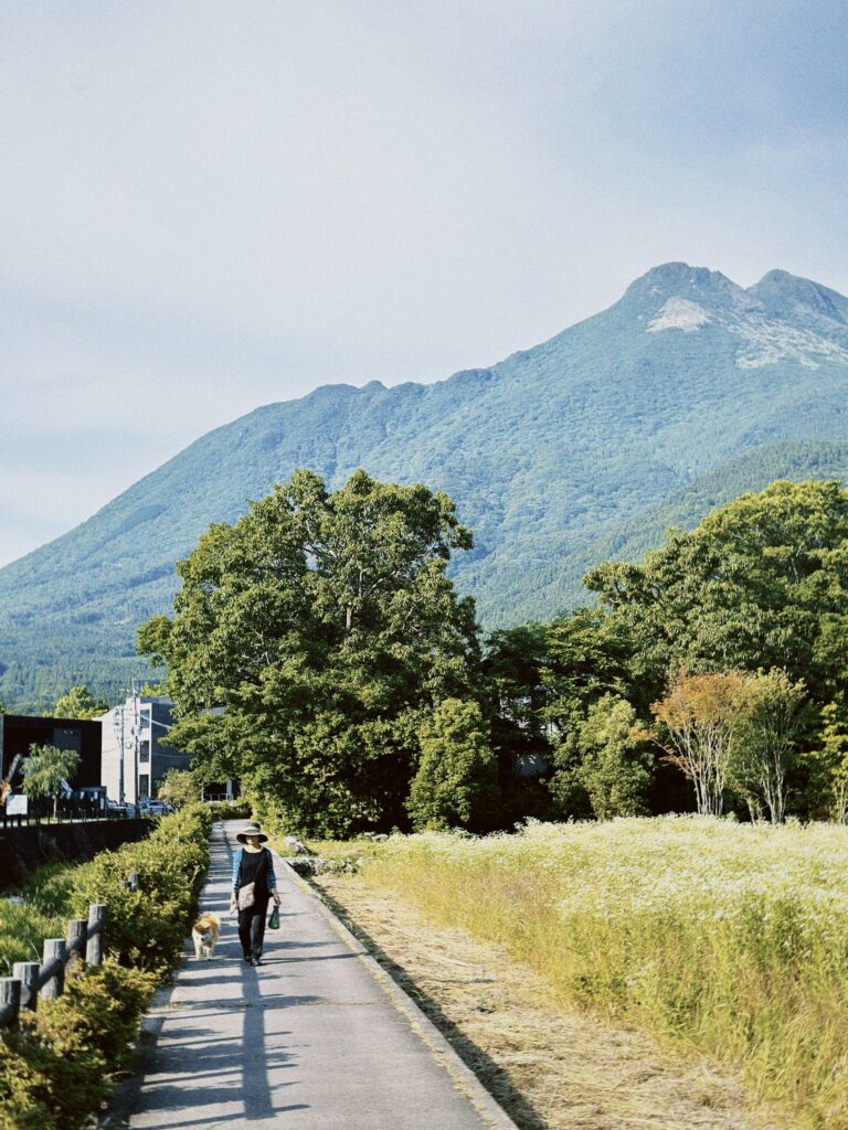 image00022