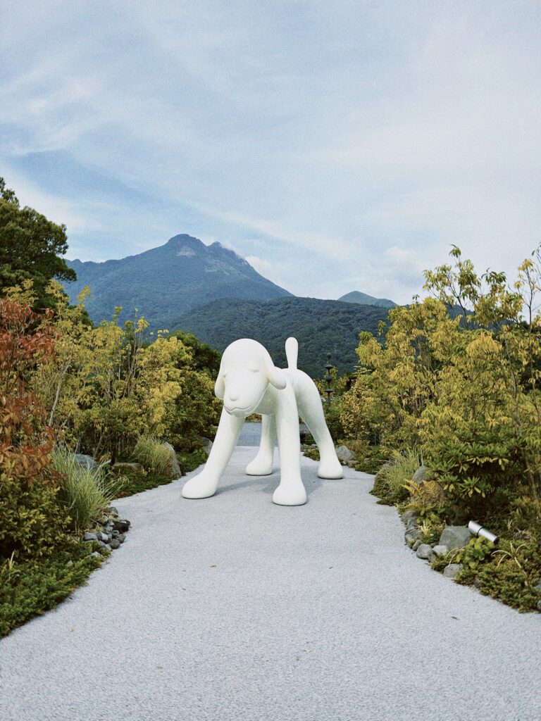 image00025