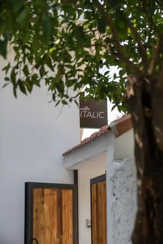 Image 202507241619281