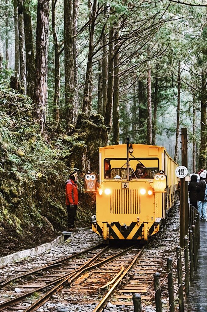 Image 20260123162002