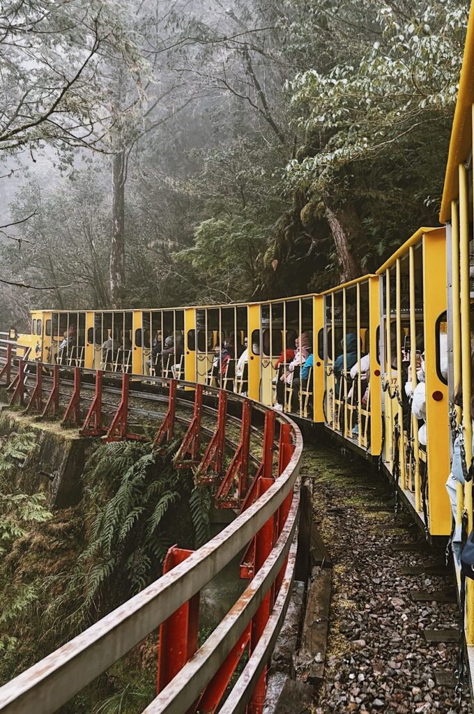 Image 20260123162011