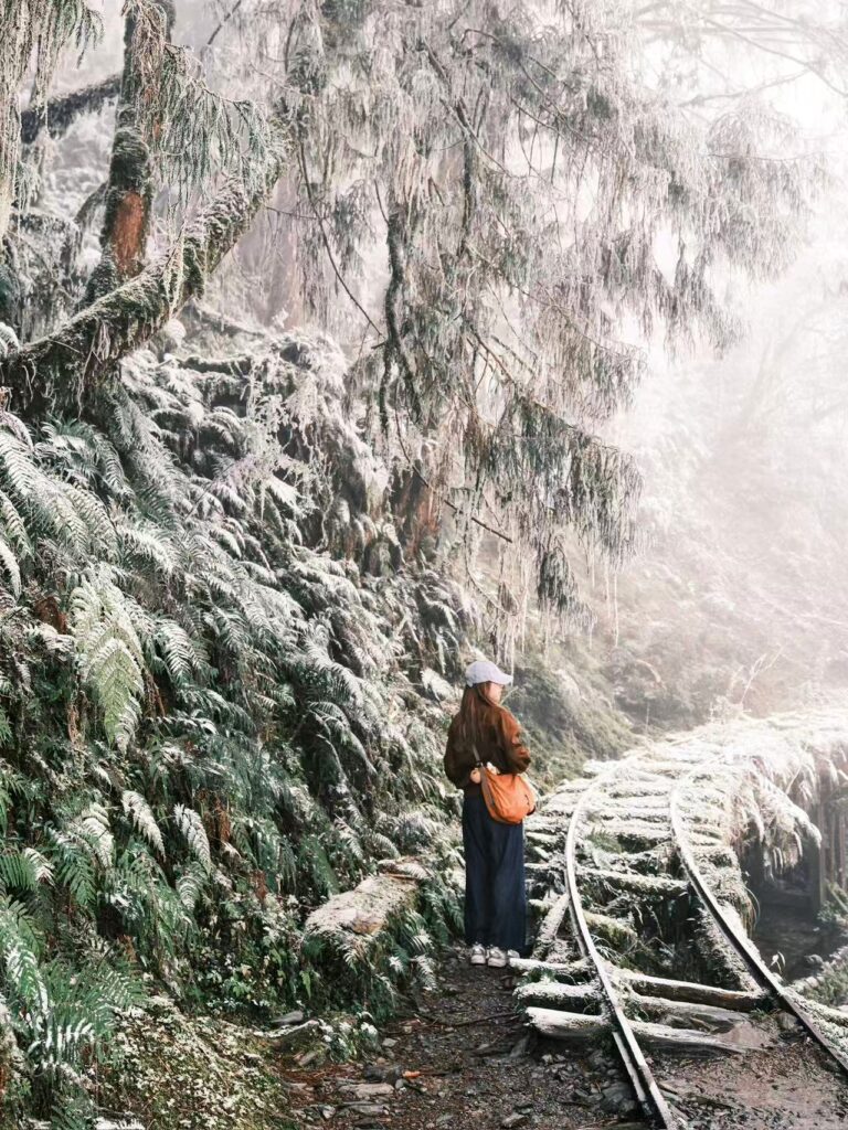 Image 20260123171022