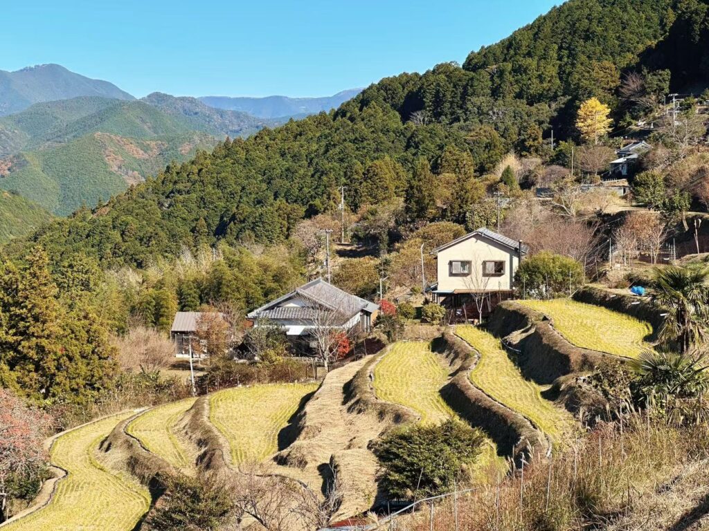 Image 20260227162519