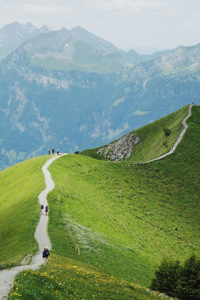 image00001 1