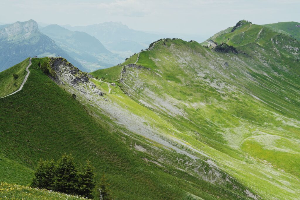 image00005 1