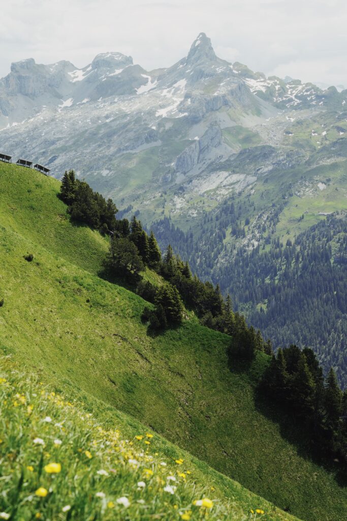 image00008 1