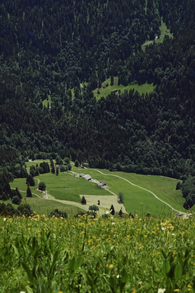 image00010 1