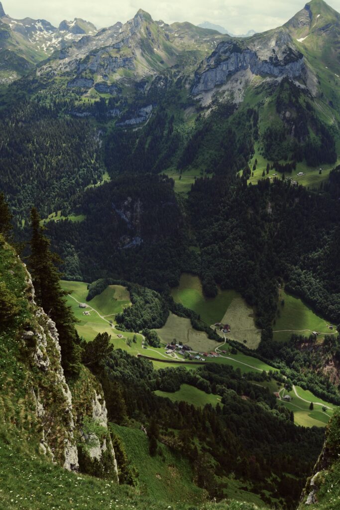 image00011 1