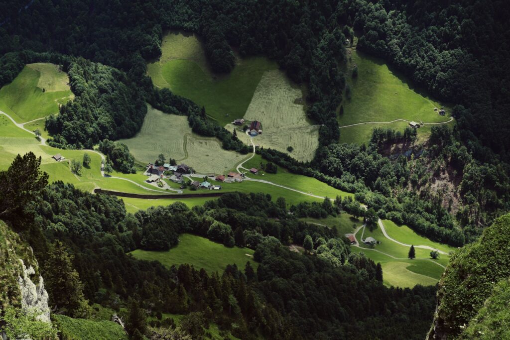 image00014 1