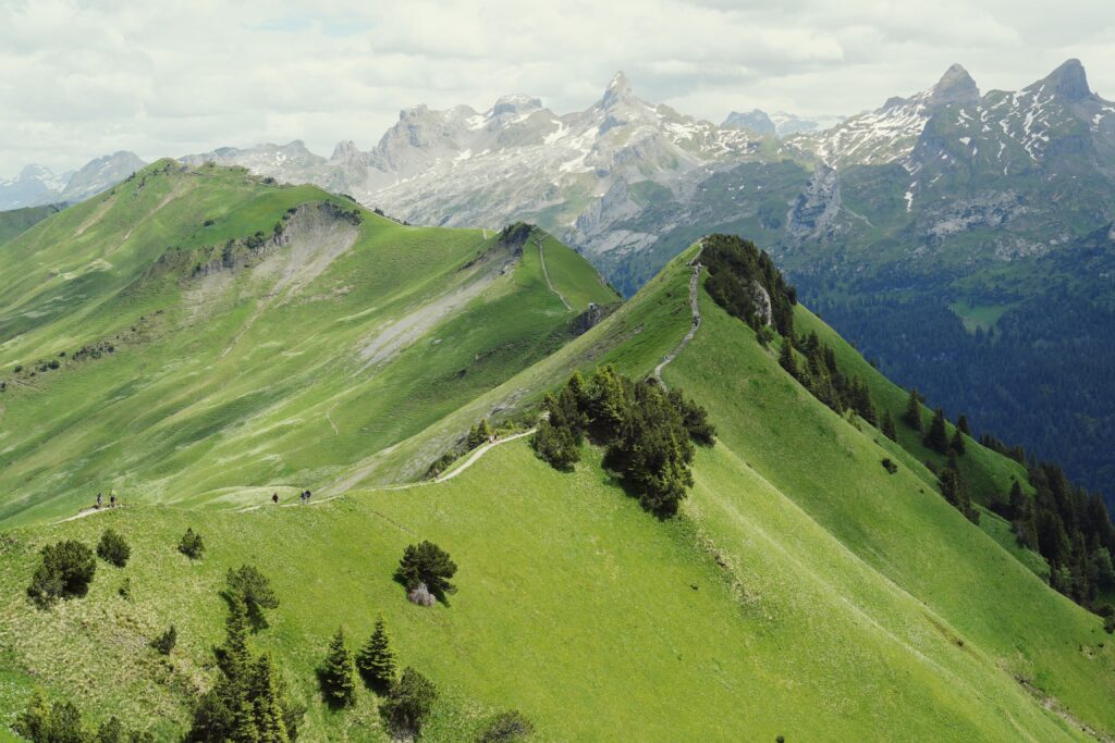 image00016 1