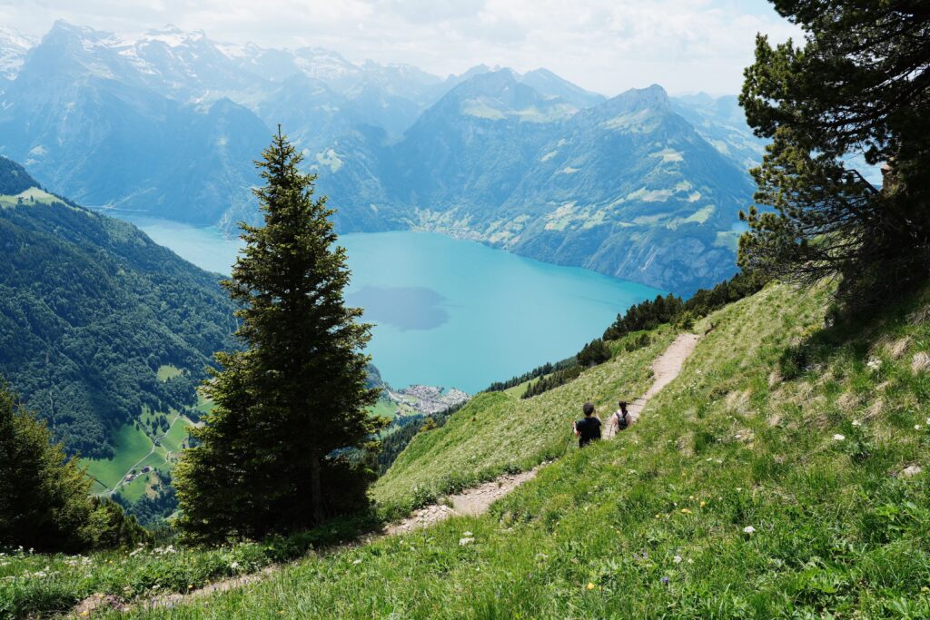 image00019 1