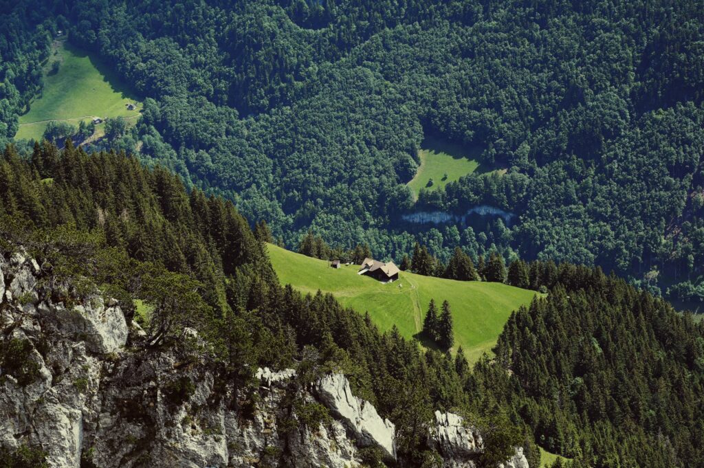 image00023 1